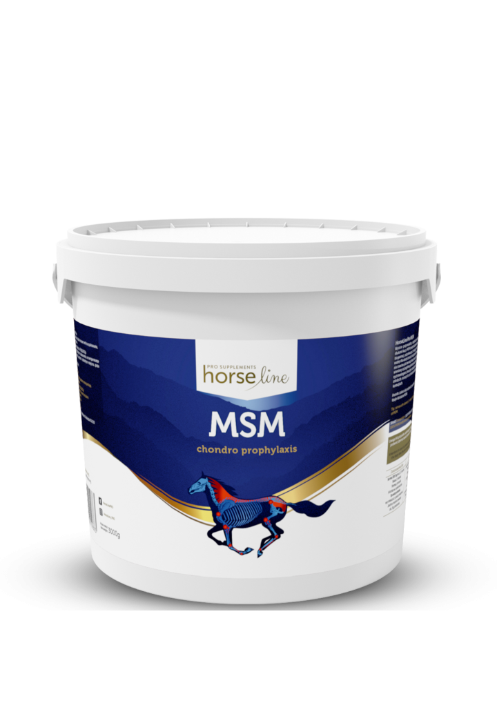 Integratore con giunto HORSE LINE MSM 3000g