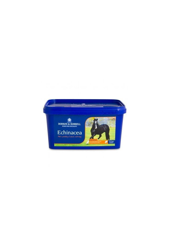 Echinacea D&H essiccato 1kg