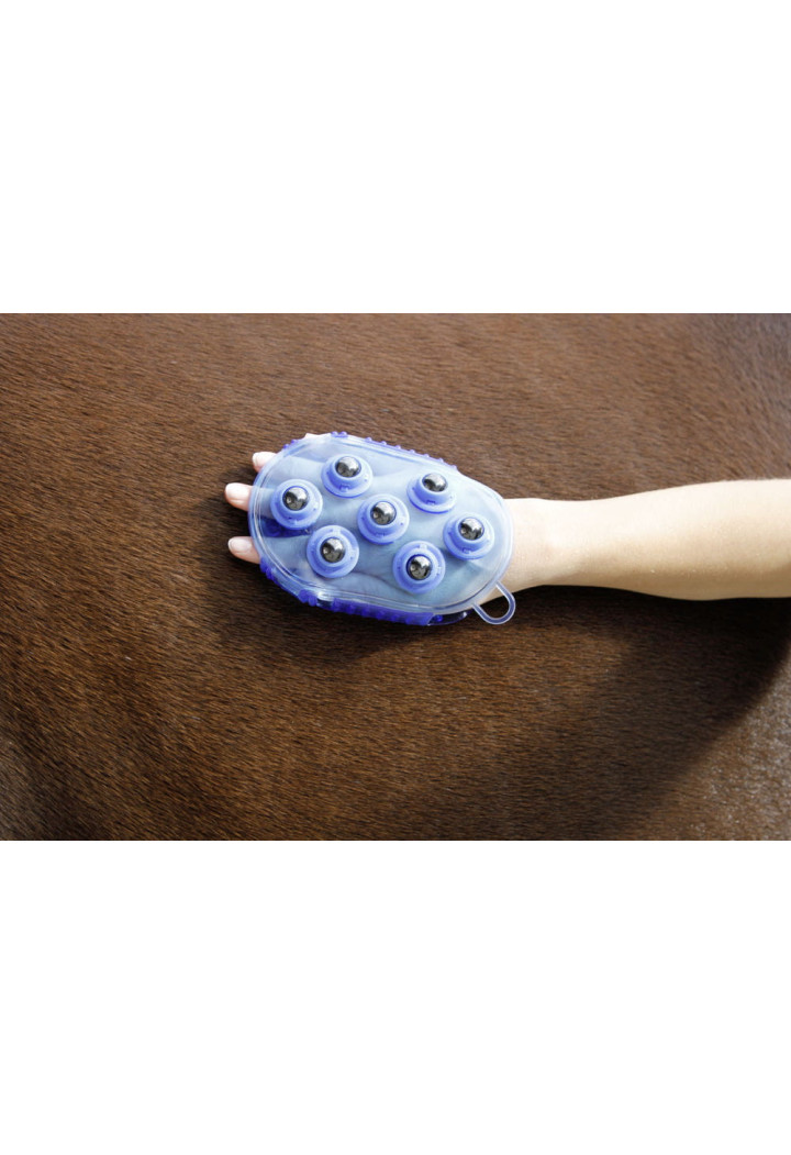 Striglia KERBL Massage