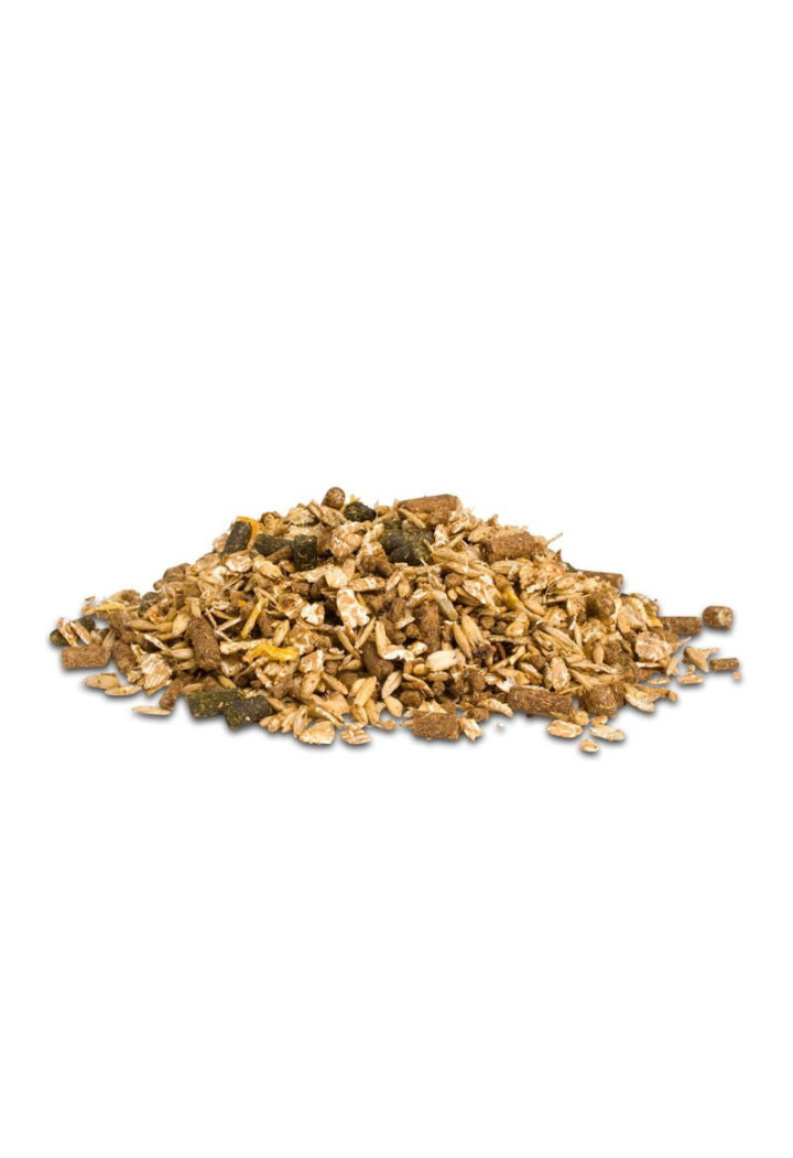 Alimentazione D&H Sixteen Plus Mix 20kg musli