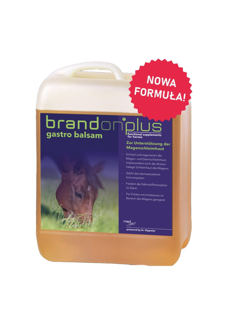 ST.HIPPOLYT Brandon+ Gastro Balsam 2,5l
