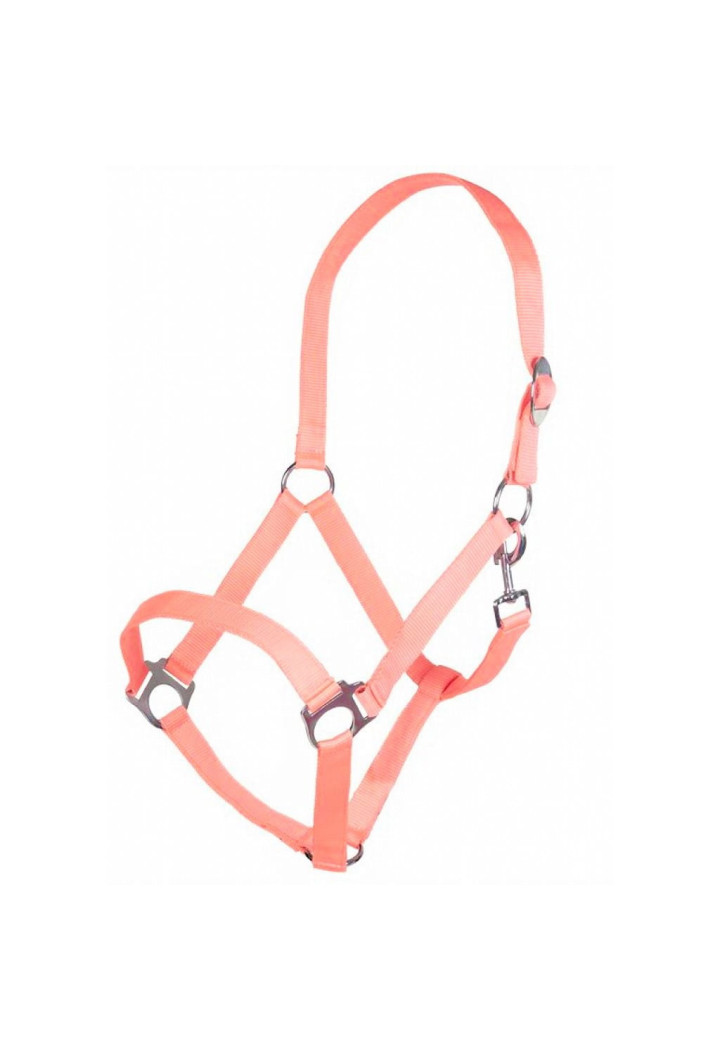 Cavezza HKM Stars Economy