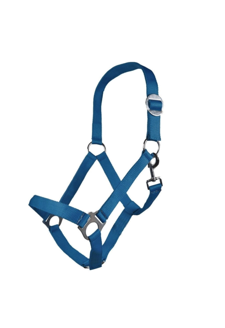 Cavezza HKM Stars Economy