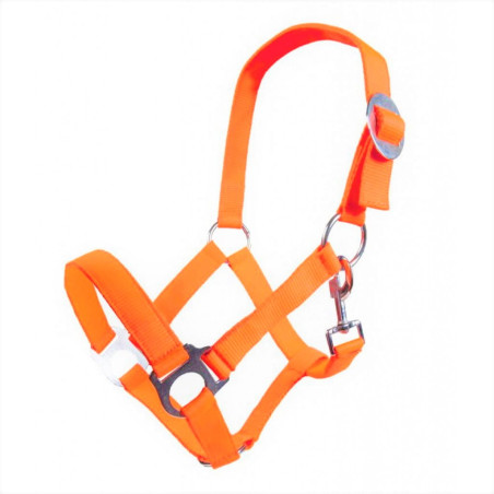 Cavezza HKM Stars Economy