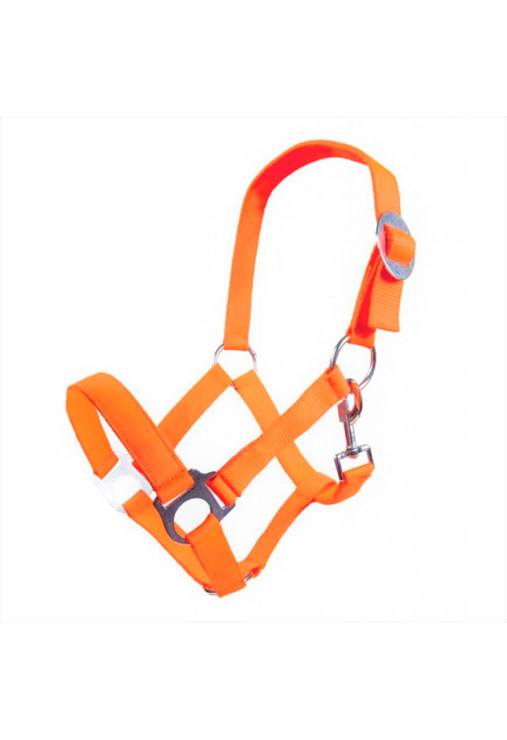 Cavezza HKM Stars Economy