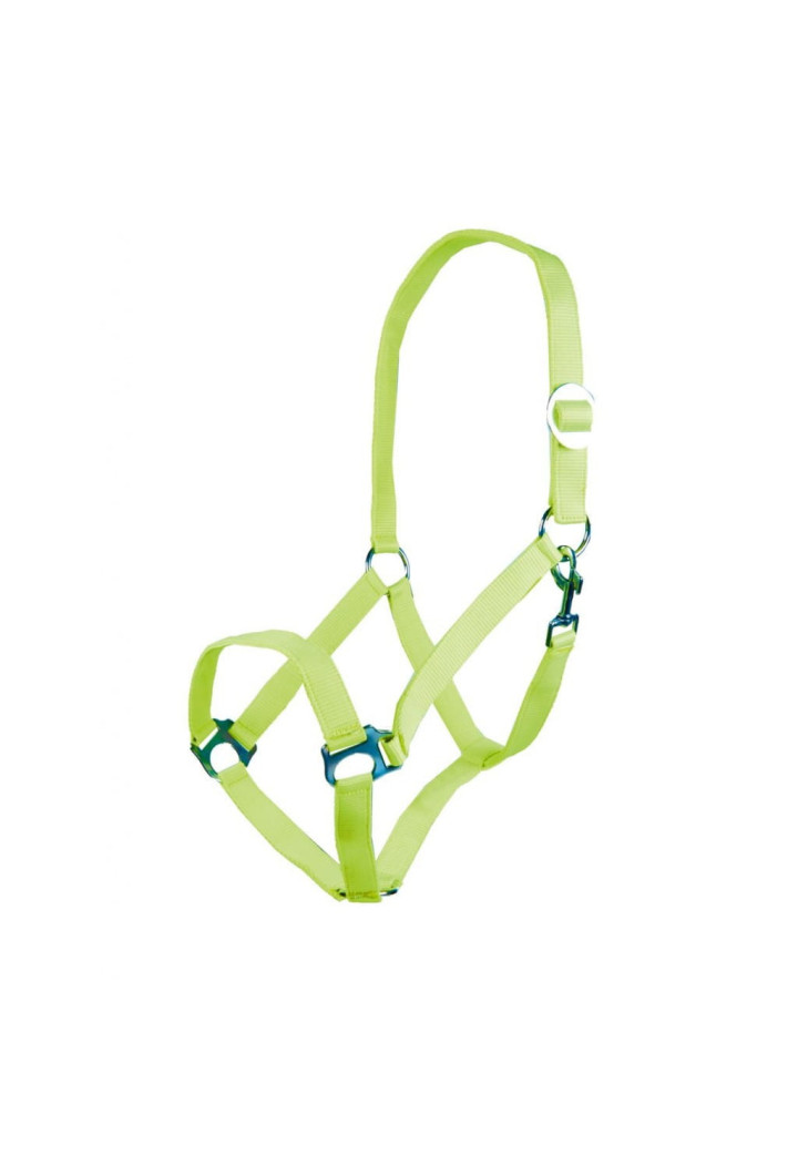 Cavezza HKM Stars Economy