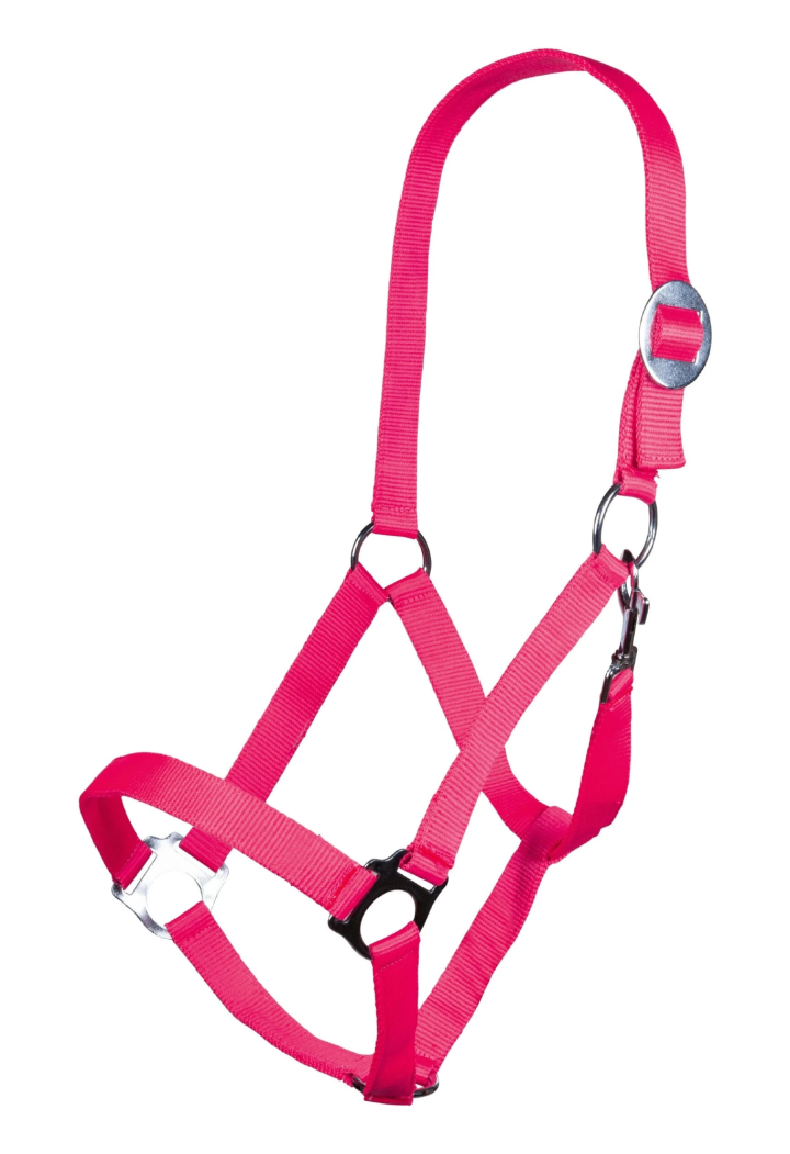 Cavezza HKM Stars Economy