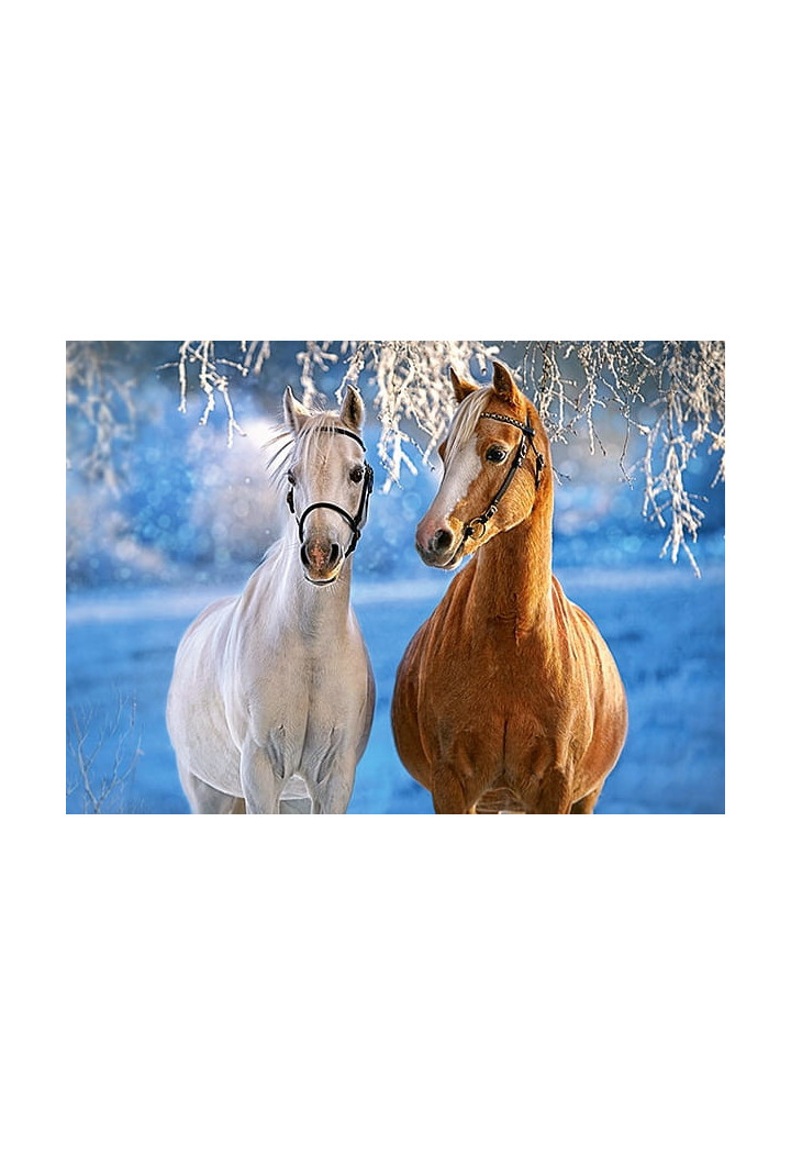 Puzzle CASTORLAND Winter Horses 260 elementi