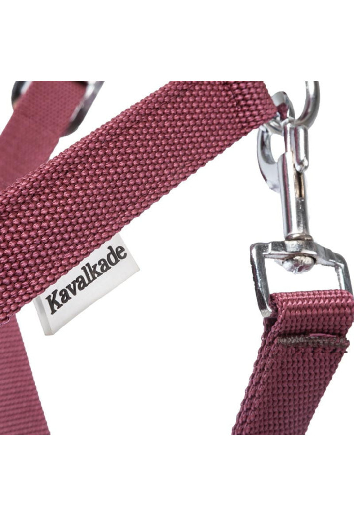 Cavezza KAVALKADE Classic
