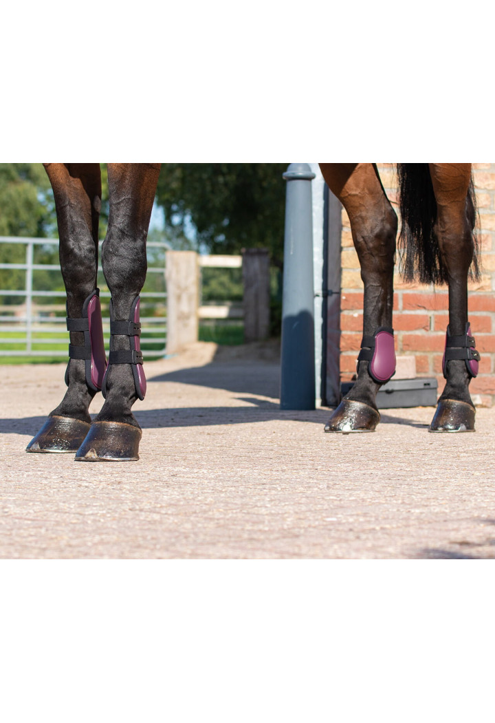 Set protettori QHP Tendon