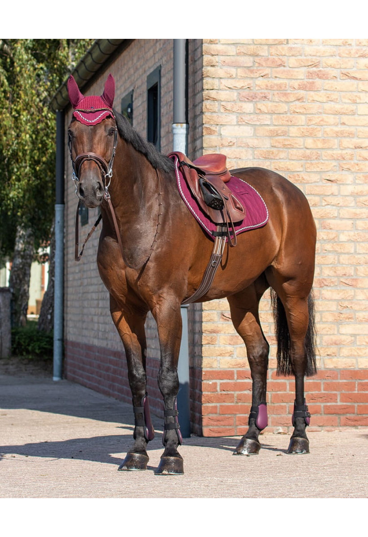 Set protettori QHP Tendon