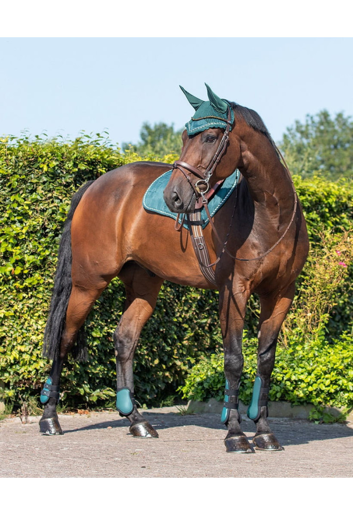 Set protettori QHP Tendon