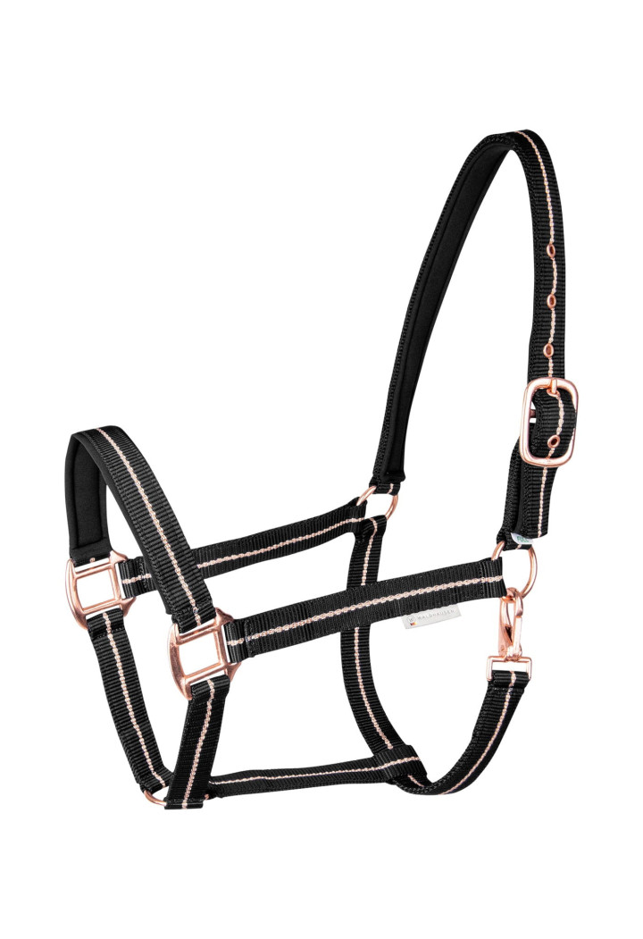 Cavezza WALDHAUSEN Rose