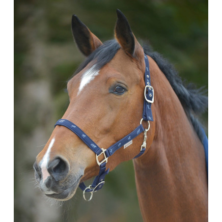Cavezza WALDHAUSEN Horsemotif