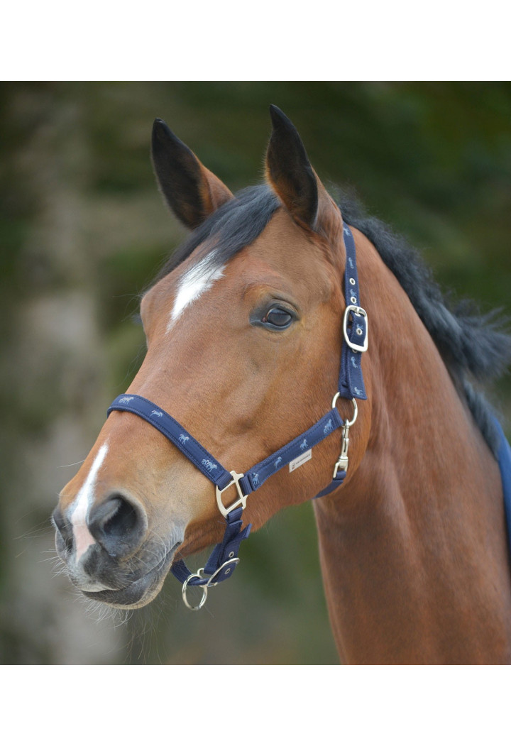 Cavezza WALDHAUSEN Horsemotif