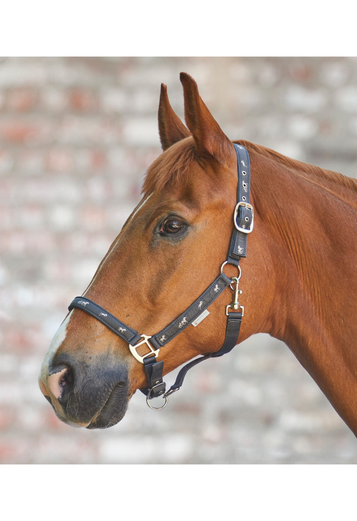 Cavezza WALDHAUSEN Horsemotif