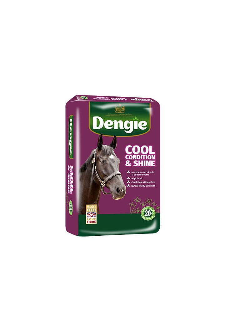 Foraggio trinciato DENGIE Condizione&Shine 20kg