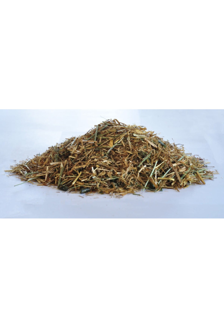 Foraggio trinciato DENGIE Condizione&Shine 20kg