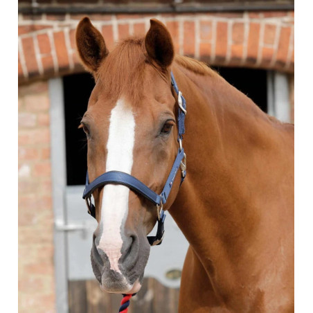 Cavezza PREMIER EQUINE Plain