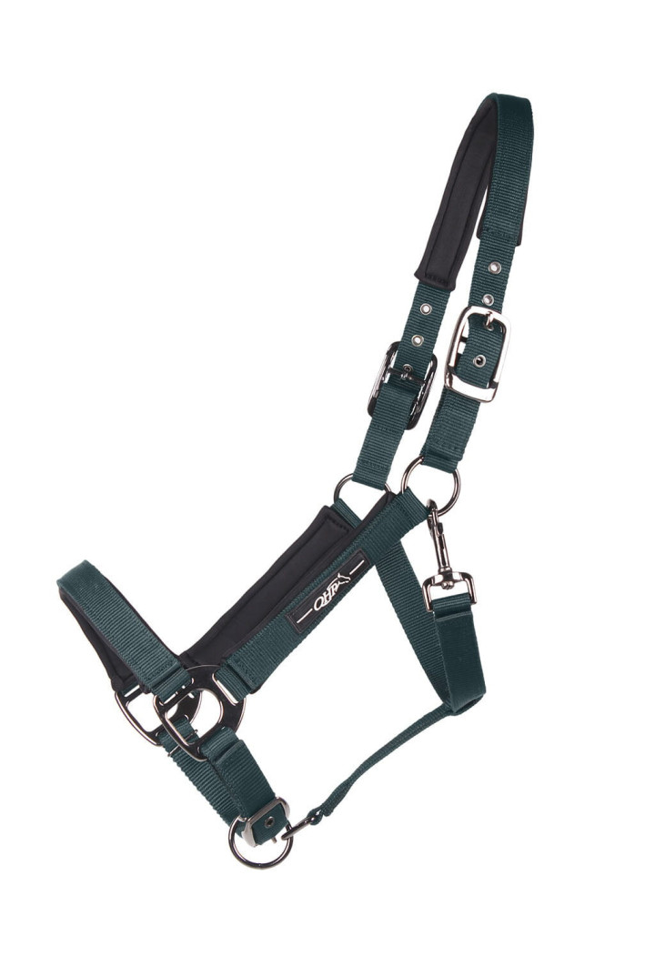 Cavezza QHP Deluxe