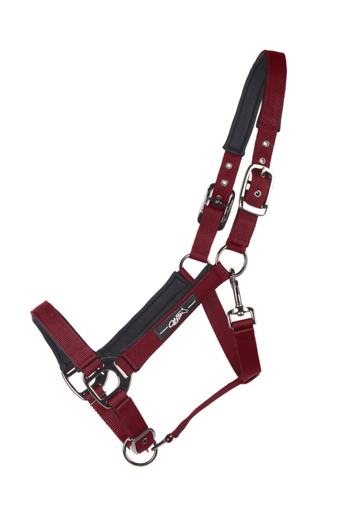 Cavezza QHP Deluxe
