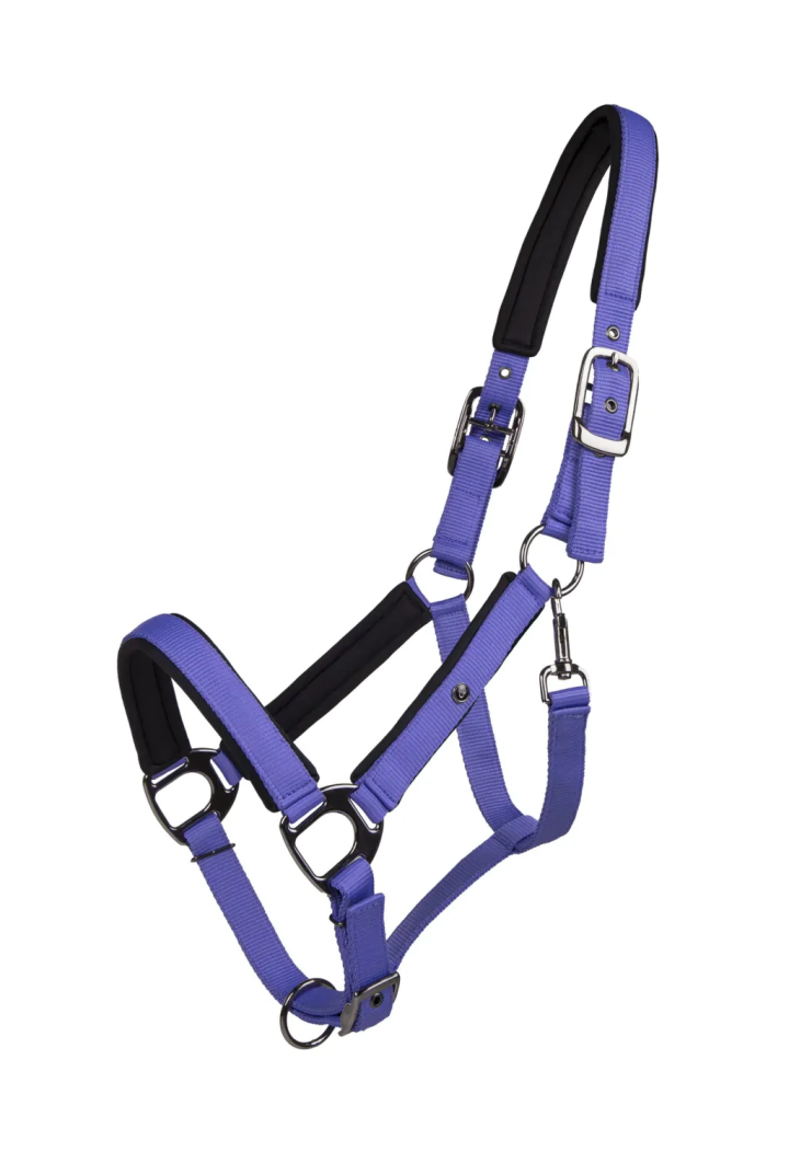 Cavezza QHP Deluxe