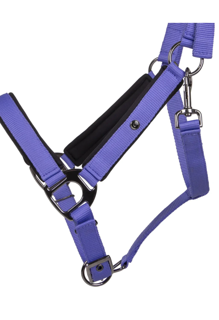 Cavezza QHP Deluxe
