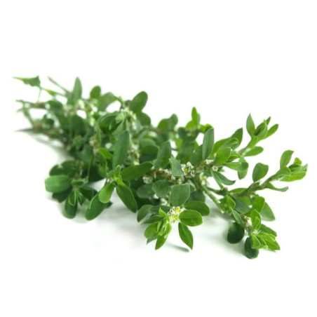 Centinodia EQUIHERBS 500g