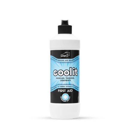 gel di raffreddamento JUMP IT Cool It 500ml
