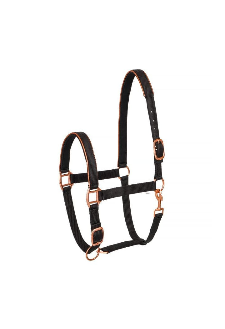 Cavezza START Neoprene