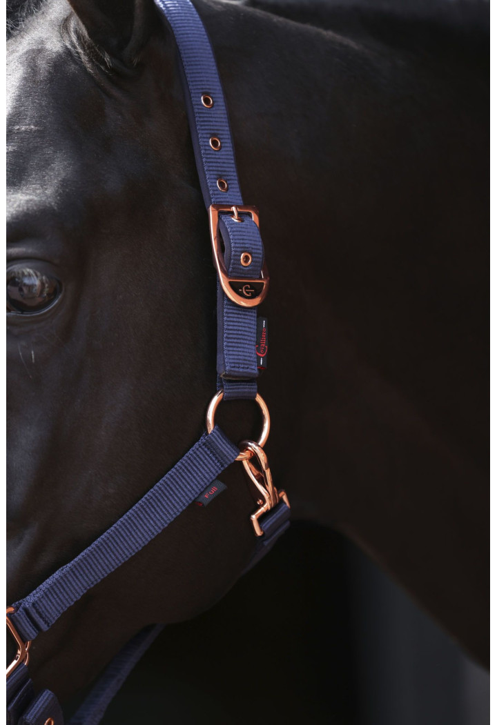 Cavezza COVALLIERO Classy