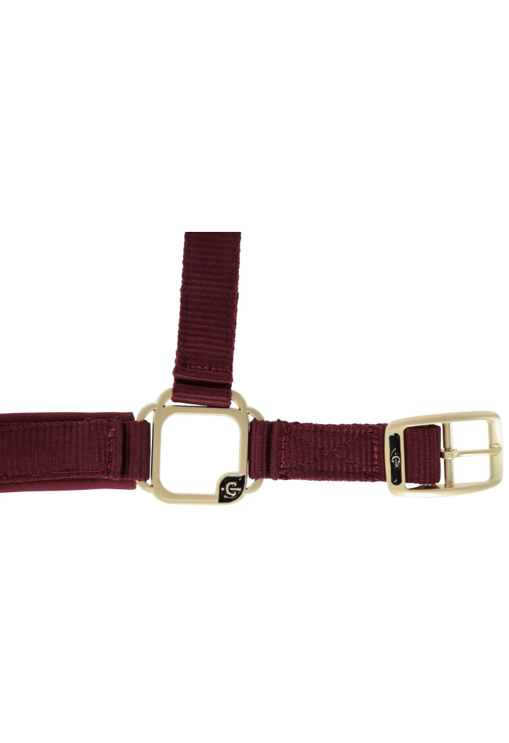 Cavezza COVALLIERO Classy