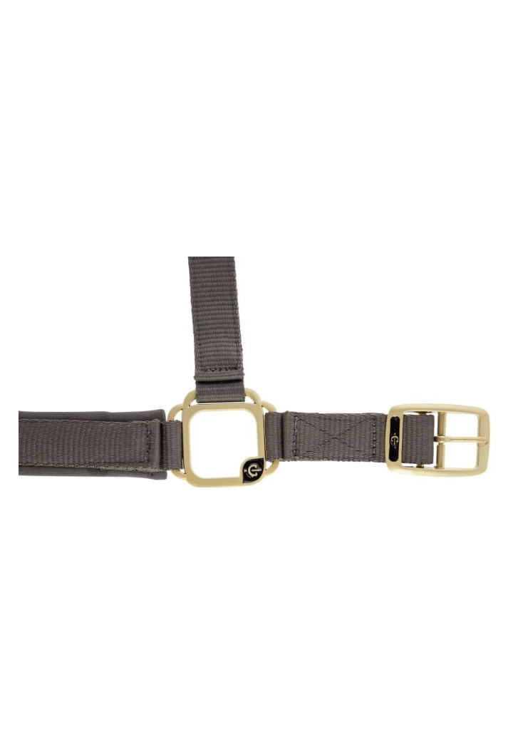 Cavezza COVALLIERO Classy