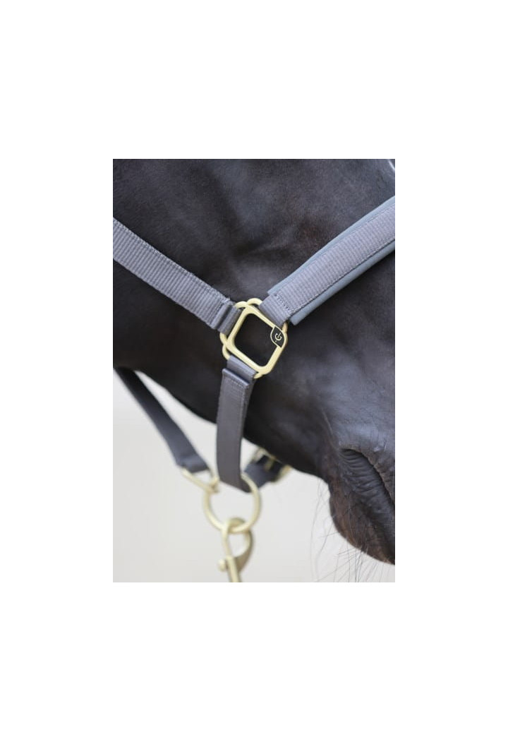 Cavezza COVALLIERO Classy