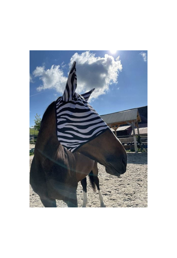 Maschera antimosche START Zebra