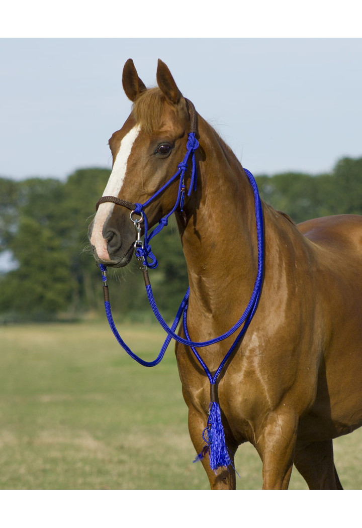 Cavezza string+ redini +cordeo QHP Liberty
