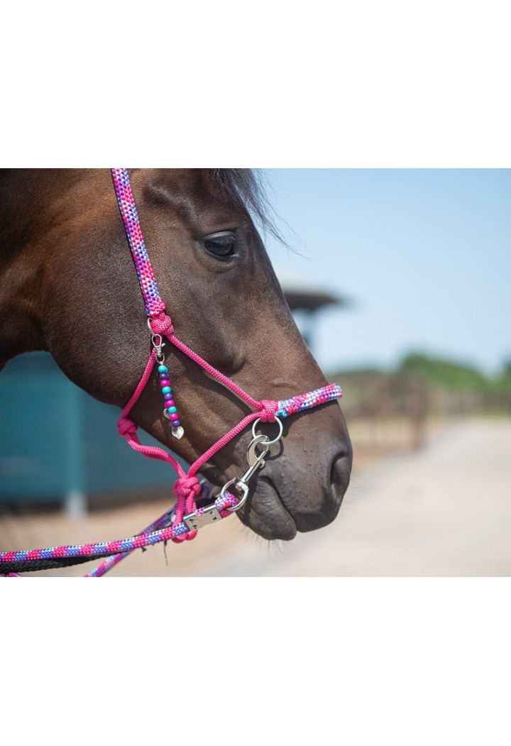Cavezza string+ redini +cordeo QHP Liberty