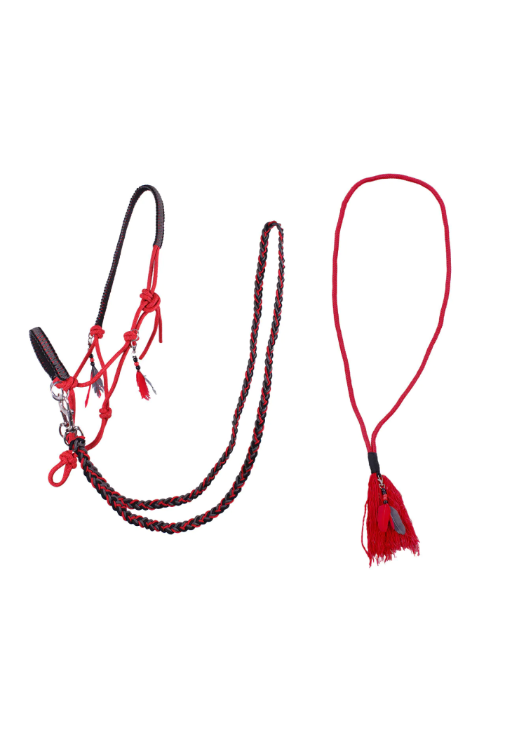 Cavezza string+ redini +cordeo QHP Liberty