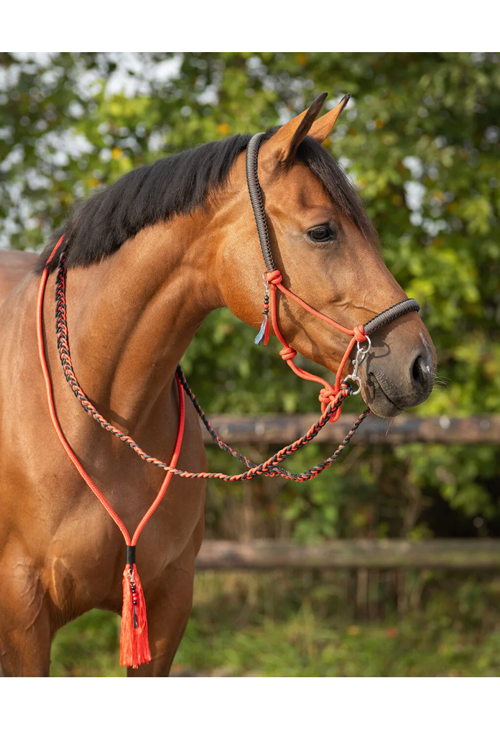 Cavezza string+ redini +cordeo QHP Liberty