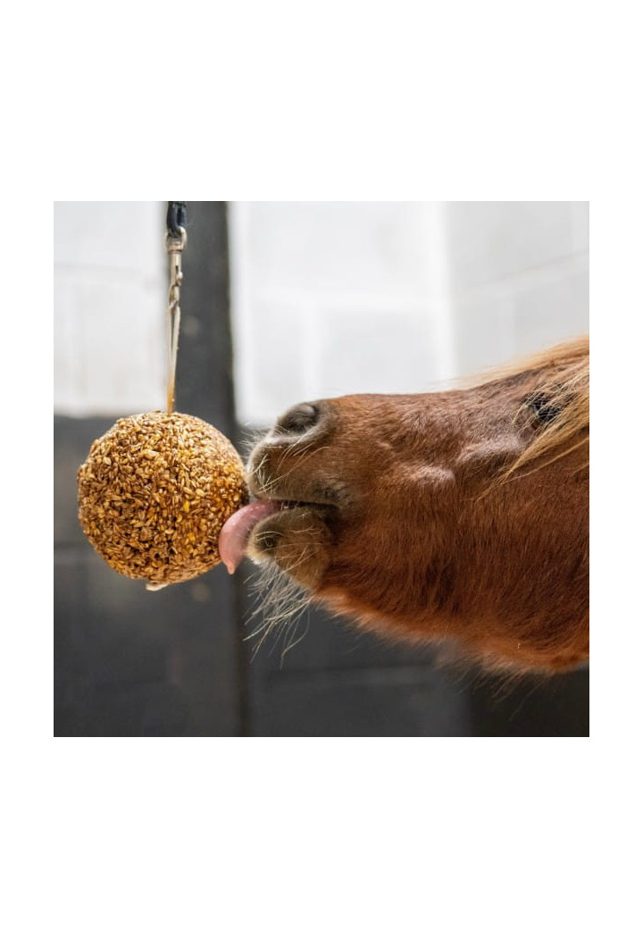 Blocco da leccare LIKIT Granola Stall Ball Peppermint 1,6kg