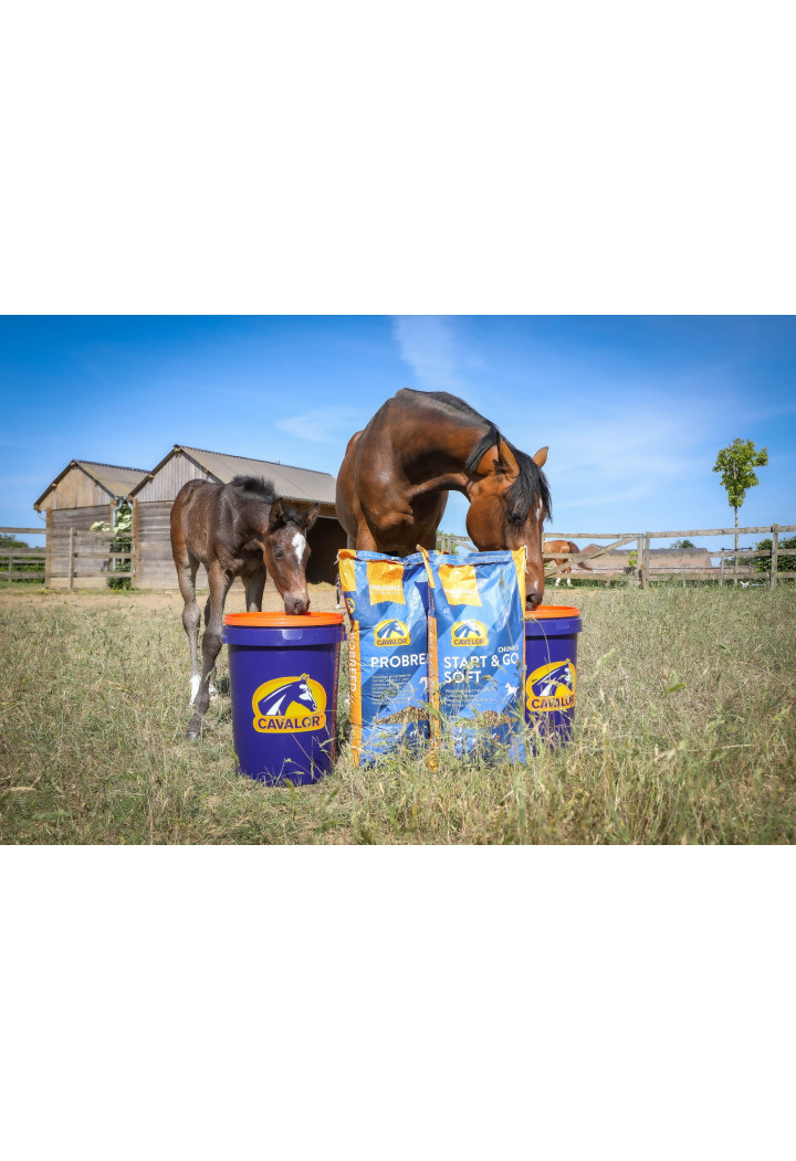 Alimentazione per allevamenti CAVALOR Probreed Mix 20kg musli