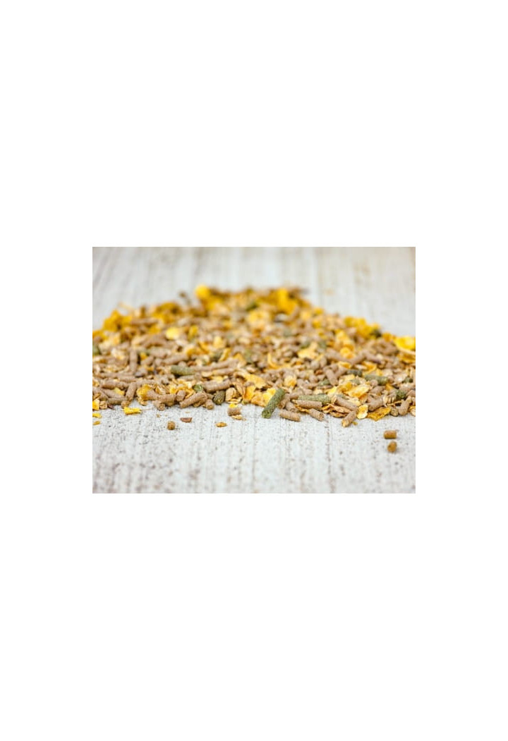 Alimentazione CAVALOR Action Mix 20kg musli