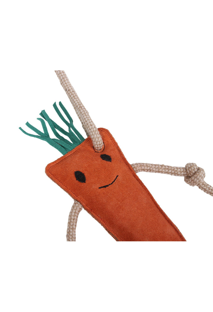 Giocattolo per cavalli QHP Carrot