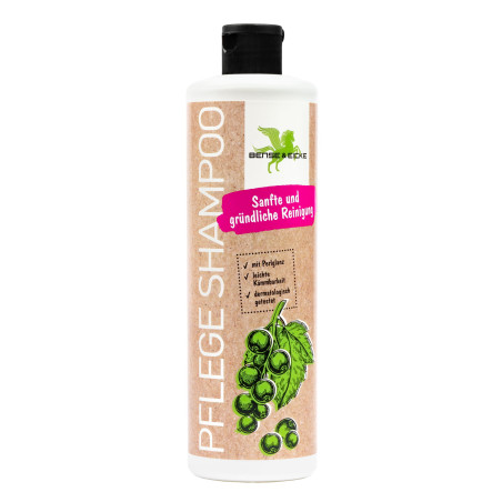 B&E shampoo PflegeShampo 500ml