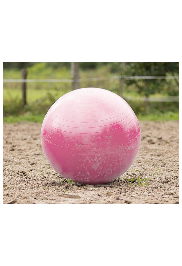 Palla di cavallo QHP calcio