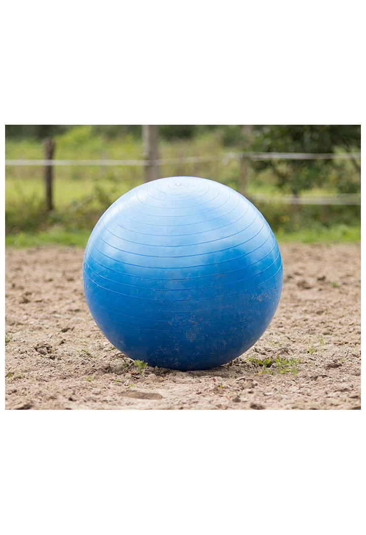Palla di cavallo QHP calcio
