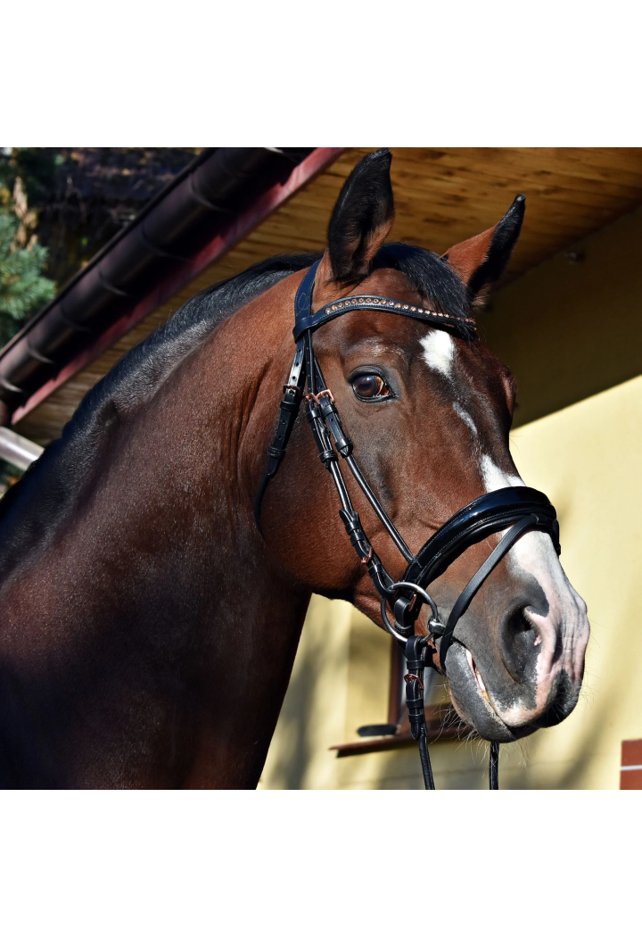 Testiera EQ.QUEEN Io