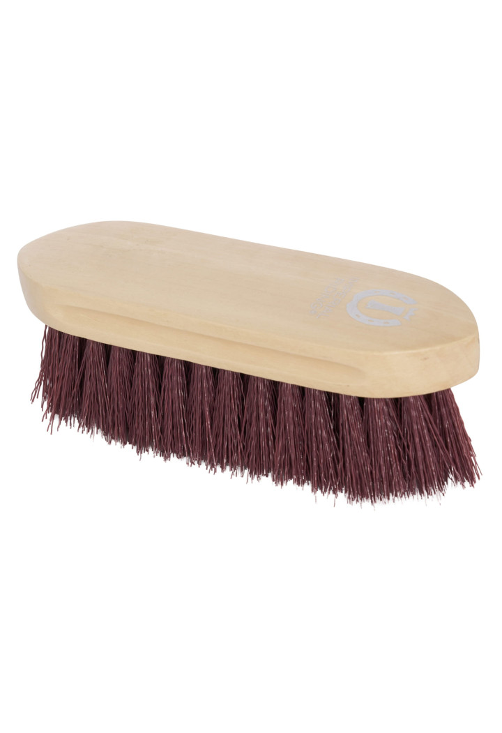 DandyWooodenHard Spazzola IR