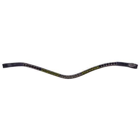 Frontalino QHP GradientCollection 23AW