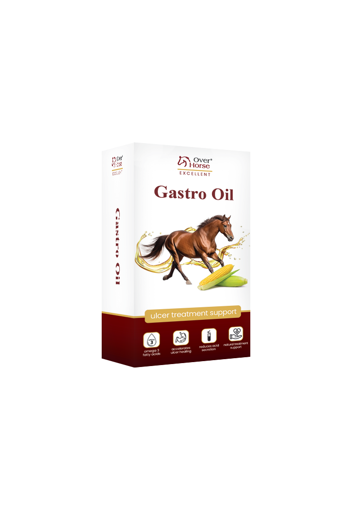 Olio per cavalli di ulcera OH GastroOil 2x1l